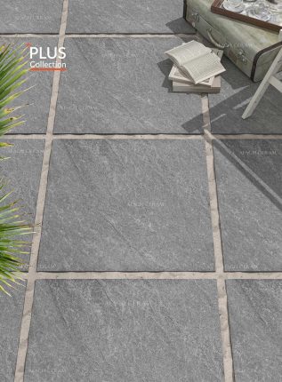 Rock طوسی تیره