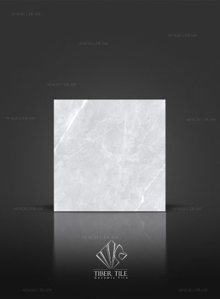 Silva سرامیک خاک سفید براق